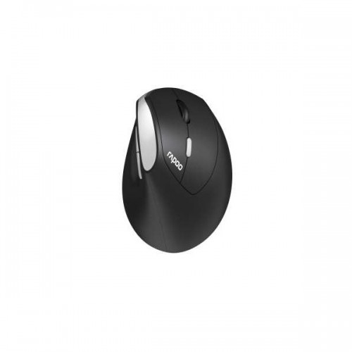 Rapoo EV250 Wireless Ergonomic Mouse - 13531
