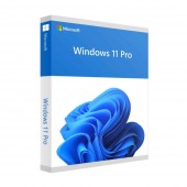 Microsoft FQC-10528 Windows 11 Professional
