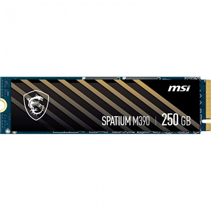 MSI SPATIUM M390 250GB price