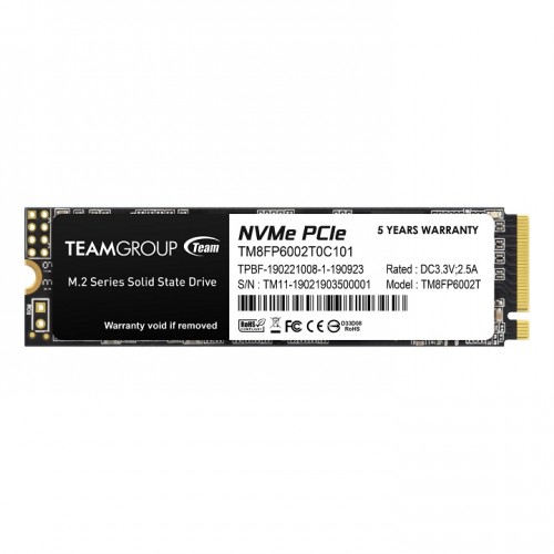 TeamGroup TM8FP6002T0C101 MP33 M.2 PCIe SSD 2TB