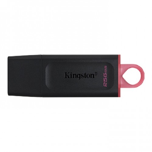 Kingston DTX/256GB DataTraveler Exodia USB Flash Drive