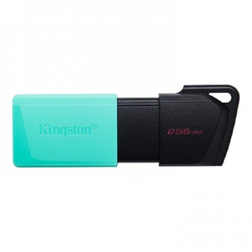 Kingston DTXM/256GB DataTraveler Exodia M USB flash drive