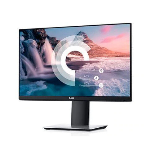 DELL P2219H Computer LED Monitor