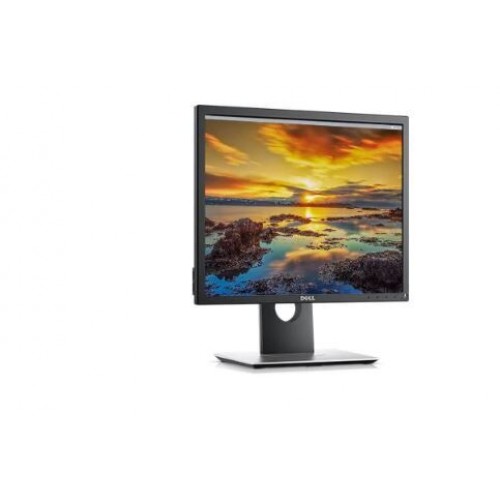 Dell Professional P1917s 48cm Standard LED monitor VGA