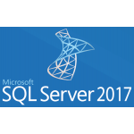 Microsoft SQL Client 2017 User License – 359-06557