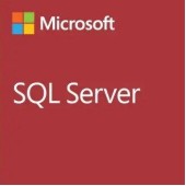 Microsoft SQL Server Standard 2019 SNGL OLP NL – 228-11477