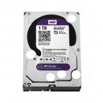 Wd purple 3.5 1tb