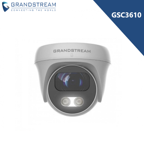 Caméra dôme infrarouge résistante aux intempéries Grandstream GSC3610